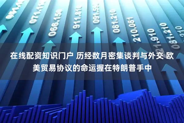 在线配资知识门户 历经数月密集谈判与外交 欧美贸易协议的命运握在特朗普手中